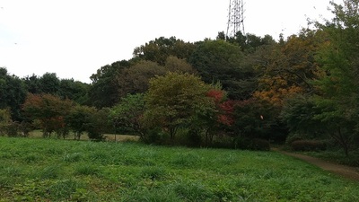 Kurokawa-Low-mountain.JPG