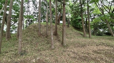 Kururi-castle-Tansyoubyo.JPG