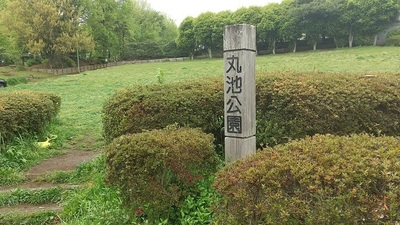 Maruike-Park.JPG