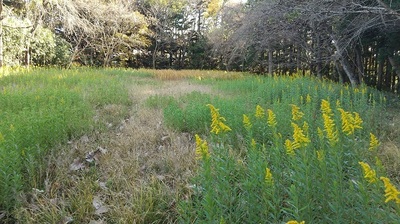 Miharu-castle-Higashi-E.JPG