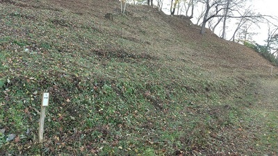 Miharu-castle-Mountain-slope.JPG
