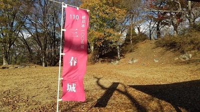 Miharu-castle-flag.JPG