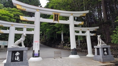 Mitsuminejinja-Mitsutorii.JPG