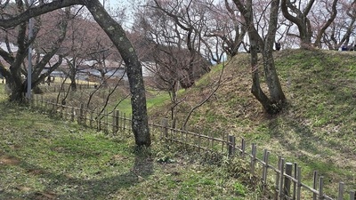 Moat-Takato-Castle-Ruins.JPG