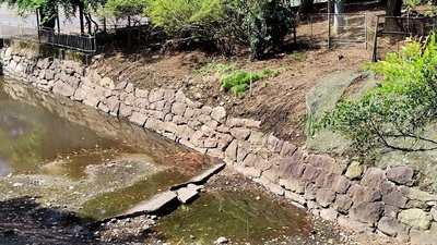 Numata-Castle-Honmaru-Moat.JPG