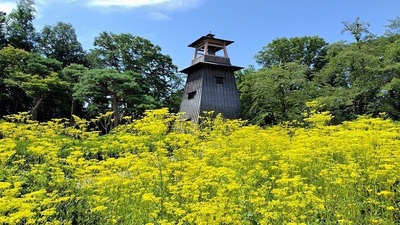 Numata-Park-Symbol.JPG