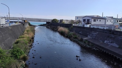 Odawara-Sannou-River-Estuary.JPG