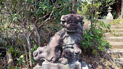 Okubo-Shrine-Komainu.JPG