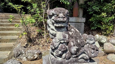 Okubo-Shrine-Odawara-Komainu.JPG