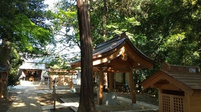 Osaki-shrine-Woods.JPG