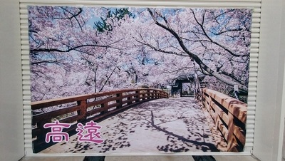Panel-Photo-Takato-Cherry-Blossom.JPG