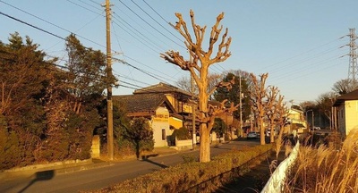 Road-to-Akayama11.jpg