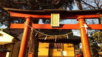 Road-to-Akayama12-Torii.jpg