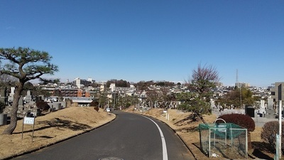 Sakunobejo-view.JPG