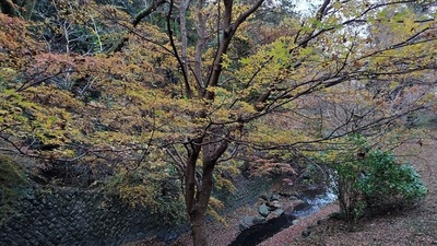 Shasui-No-Taki-Waterfall.JPG