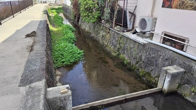 Shibutori-River-Odawara.JPG