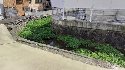 Shibutori-River.JPG