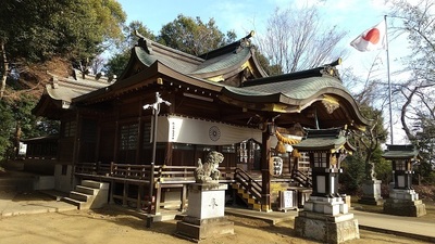 Shiroyama shrine (1).JPG