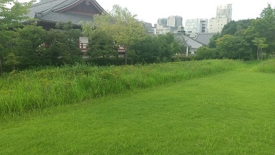 Shogun's-Grave-Ato.JPG