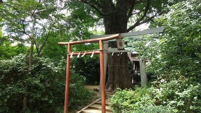 Shrine-Gate-Torii.JPG