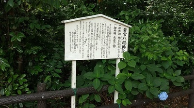 Shrine-Guide-Plate.JPG