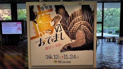 Special-Exhibition-Takanoodemashi-Image.JPG