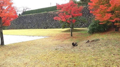 Stone-Wall-Sannomaru-kanazawa-Castle.JPG