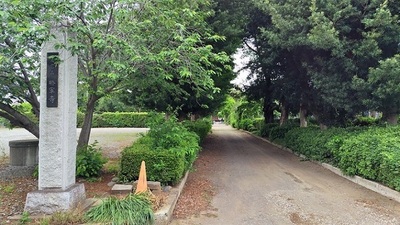 Syogunji-Temple-Gate.JPG