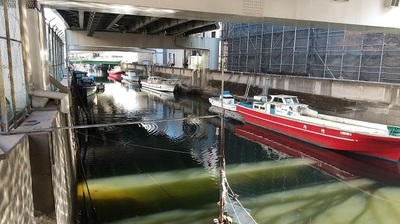 SyougenBashi-River.JPG