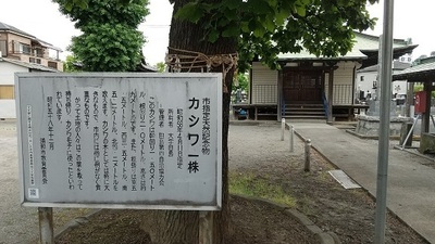 Tajima-kannondo- Kashiwa.JPG