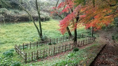 Takaokajo-Uchibori.JPG