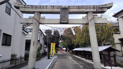 Toneri-Hikawajinja-Torii.JPG