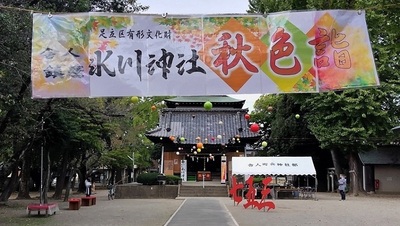 Toneri-Hikawajinja-Traditional-Rite-Shichigosan.JPG