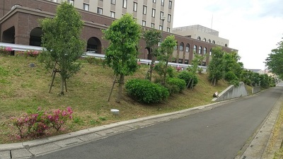 Torojinya-Medical-Center.JPG