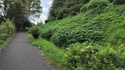 Valuable-Earthwork-Ruins-Oshi-Castle.JPG