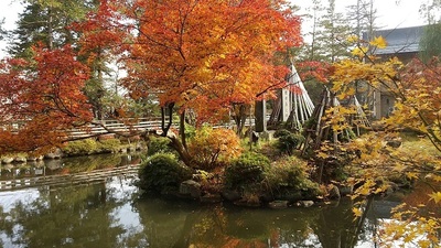 Yonezawa-2011-Late-Autumn.JPG