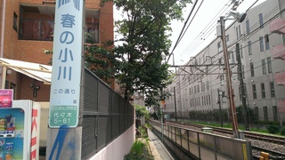 harunoogawa (5).jpg