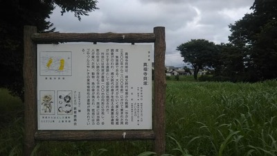 iwakaizuka (1).jpg
