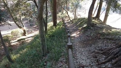 kounodai-castle-ruins.JPG