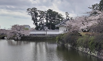 ninomaru-higashi-bori.JPG