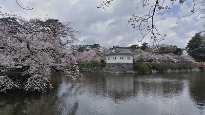 ninomarusumiyagura-Odawara.JPG