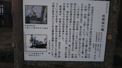 shirononagori182iwatsuki (12).JPG