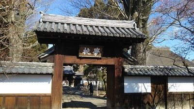 shirononagori200c (8).JPG