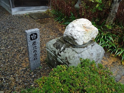 shirononagori203doumori (8).JPG