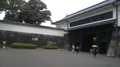 shirononagori239 (1).JPG