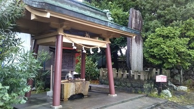 shirononagori491 (3).JPG