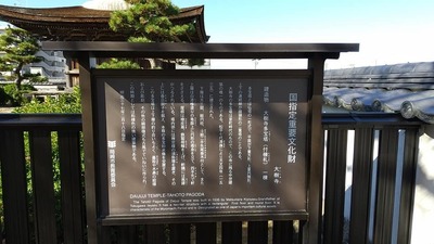 shirononagori498 (13).jpg