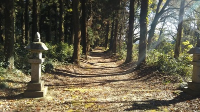 shirononagoriWashijinja (4).JPG