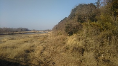 Oyama-Gionjo-River.jpeg