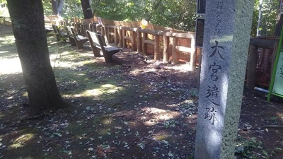 shirononagori266 (13).JPG